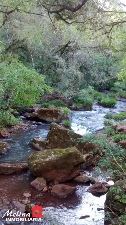 Se Vende Finca con Arroyo en Picada Yapuyú - Misiones