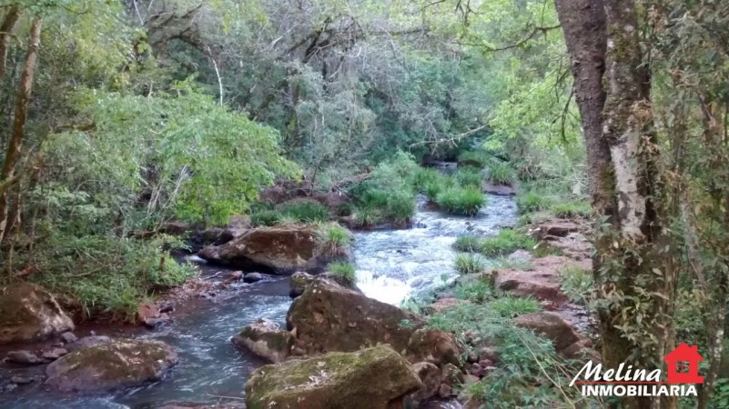Se Vende Finca con Arroyo en Picada Yapuyú - Misiones