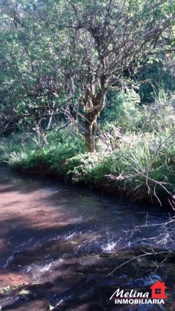 Se Vende Finca con Arroyo en Picada Yapuyú - Misiones