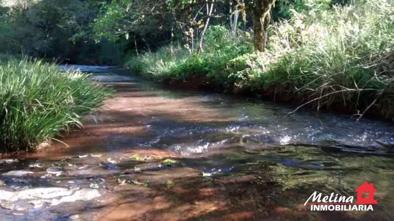 Se Vende Finca con Arroyo en Picada Yapuyú - Misiones