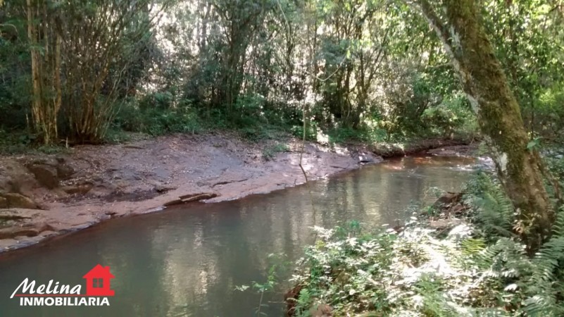 Se Vende Finca con Arroyo en Picada Yapuyú - Misiones
