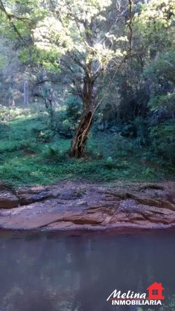 Se Vende Finca con Arroyo en Picada Yapuyú - Misiones