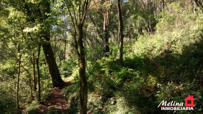 Se Vende Finca con Arroyo en Picada Yapuyú - Misiones
