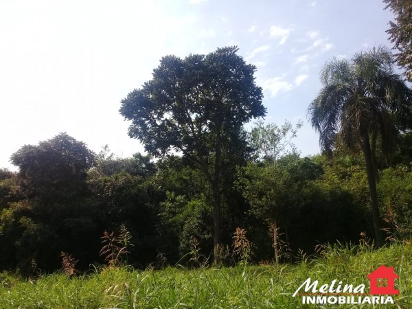 Lote Baldio - Oberá - Misiones