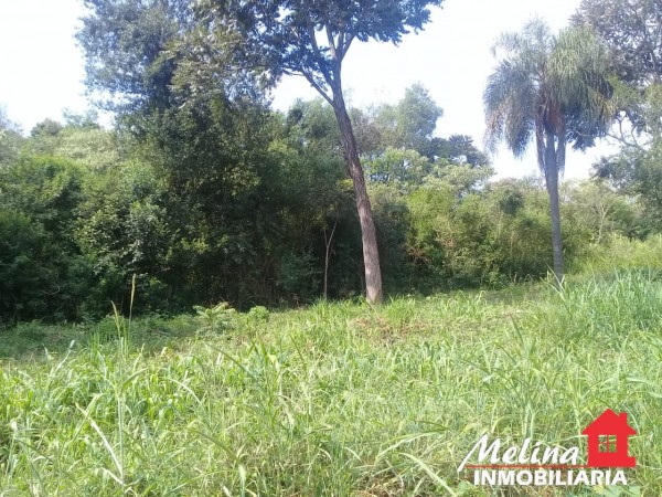Lote Baldio - Oberá - Misiones