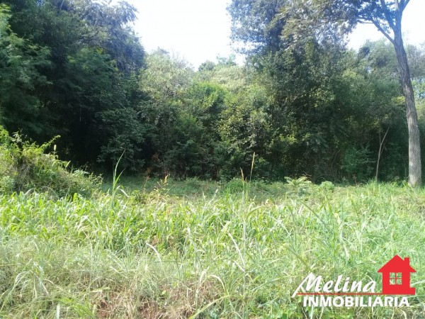 Lote Baldio - Oberá - Misiones