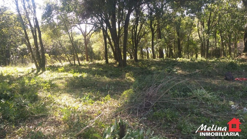 Terreno Baldío