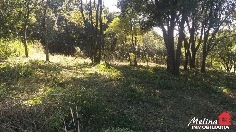 Terreno Baldío