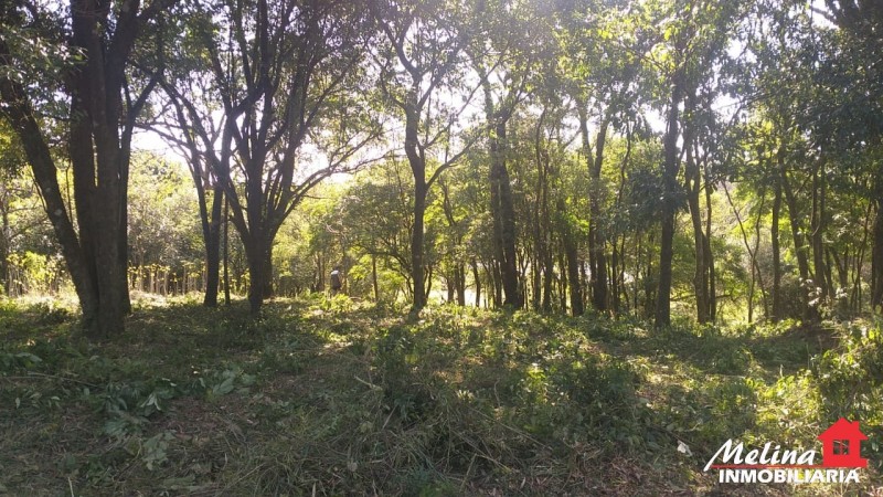 Terreno Baldío