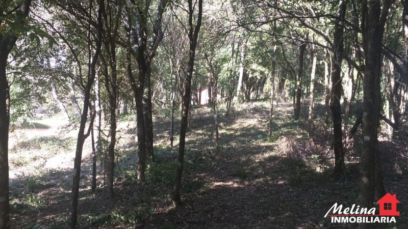 Terreno Baldío