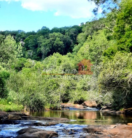 Finca