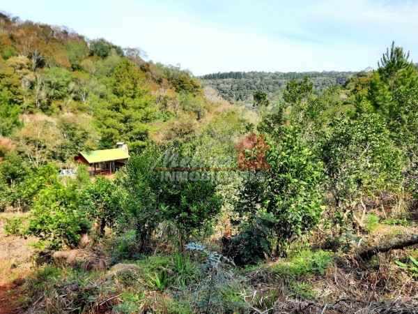 Finca
