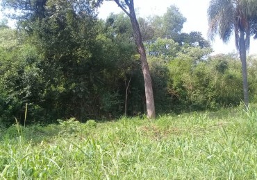 Lote Baldio - Oberá - Misiones