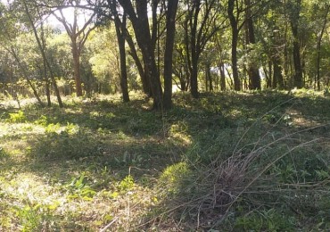 Terreno Baldío